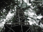 01-rio-napo-087
