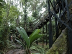 01-rio-napo-088