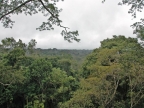01-rio-napo-096