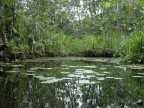 01-rio-napo-129