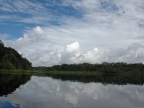 01-rio-napo-132