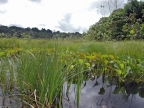 01-rio-napo-138