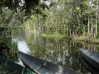 01-rio-napo-144