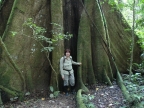 01-rio-napo-158