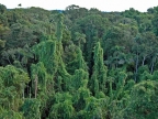 01-rio-napo-180