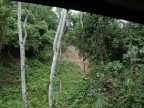 01-rio-napo-233