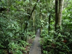 01-rio-napo-253