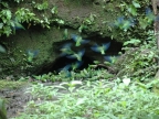 01-rio-napo-259