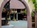 elsass-eguisheim-oktober-2010-020