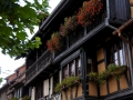 elsass-eguisheim-oktober-2010-077