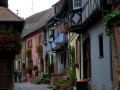 elsass-eguisheim-oktober-2010-080
