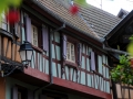 elsass-eguisheim-oktober-2010-101