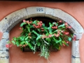 elsass-eguisheim-oktober-2010-102