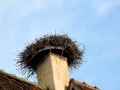 elsass-oberlai-oktober-2010-351
