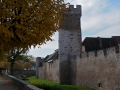 elsass-oberlai-oktober-2010-370