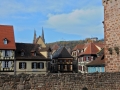 elsass-oberlai-oktober-2010-372