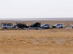 tag-10-12-etosha-0606