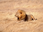 tag-10-12-etosha-0609