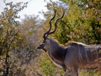tag-10-12-etosha-0630