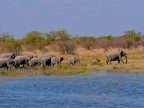 tag-10-12-etosha-0637