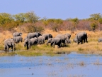 tag-10-12-etosha-0638
