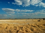 tag-10-12-etosha-0654