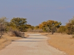 tag-10-12-etosha-0658