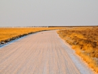 tag-10-12-etosha-0666