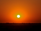 tag-10-12-etosha-0669