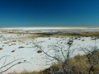 tag-10-12-etosha-0679