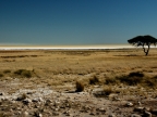 tag-10-12-etosha-0683