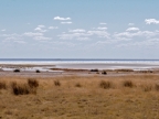 tag-10-12-etosha-0687