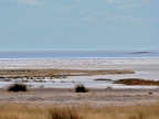 tag-10-12-etosha-0688