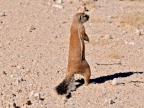 tag-10-12-etosha-0700