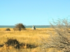 tag-10-12-etosha-0712