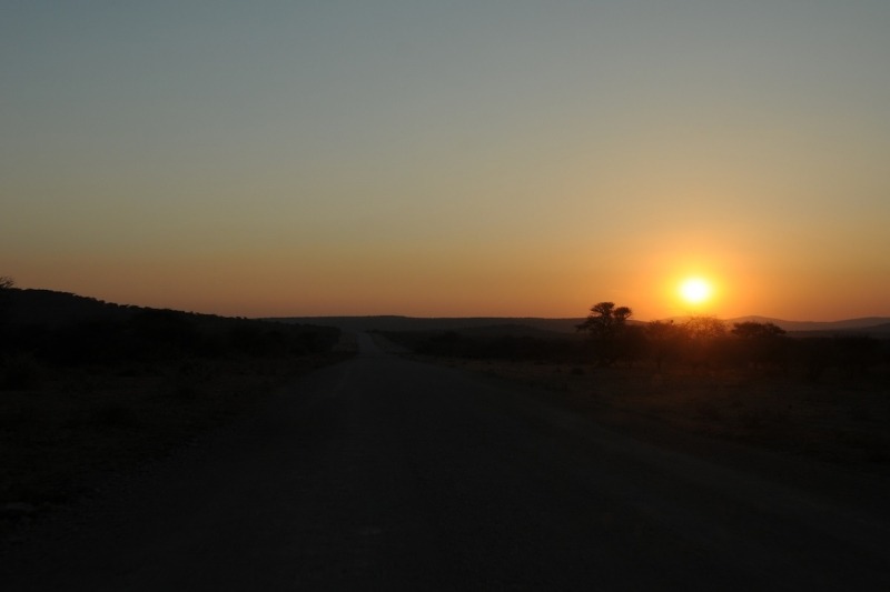 tag-10-12-etosha-0525