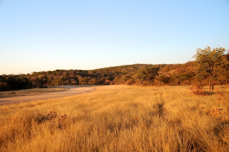 tag-10-12-etosha-0526