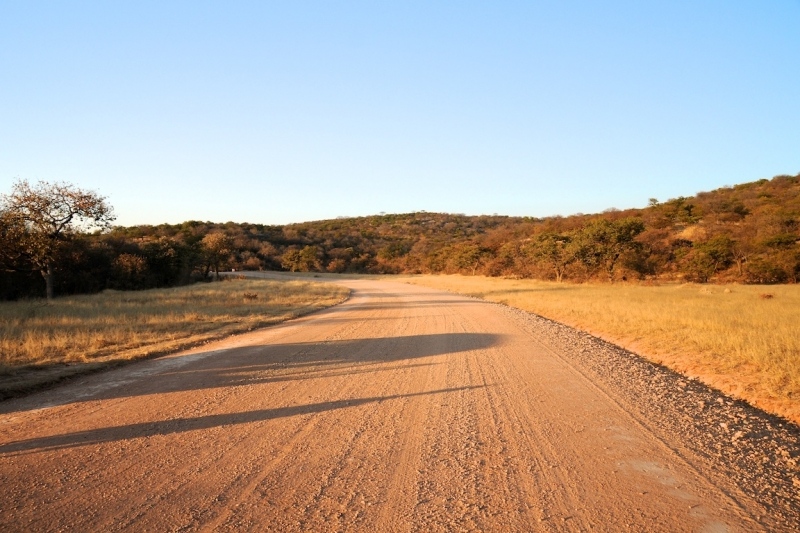 tag-10-12-etosha-0528