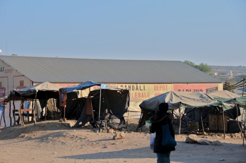 tag-10-12-etosha-0533