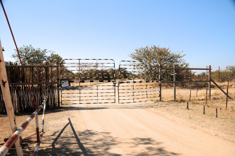 tag-10-12-etosha-0535