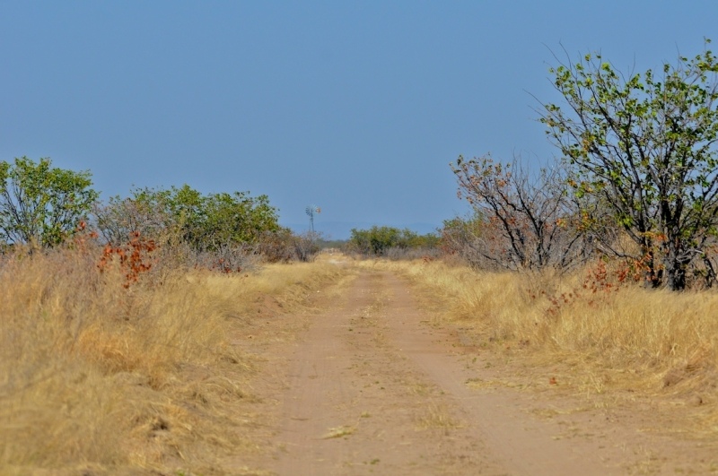 tag-10-12-etosha-0539