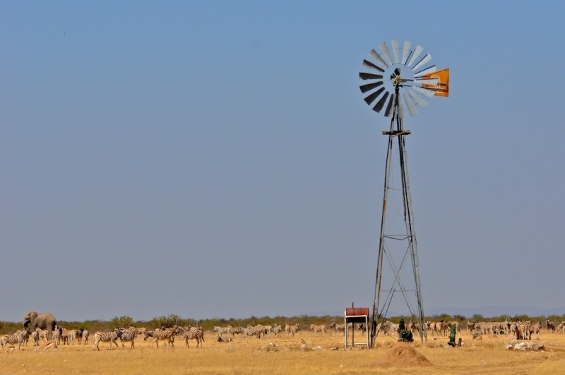 tag-10-12-etosha-0540