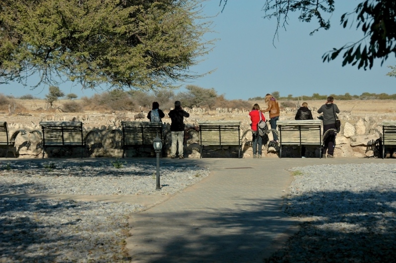 tag-10-12-etosha-0588