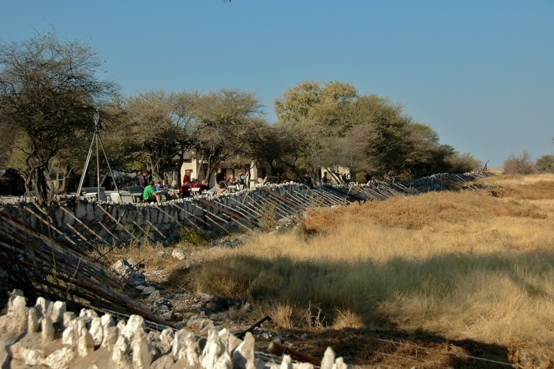 tag-10-12-etosha-0589