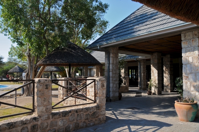 tag-10-12-etosha-0646