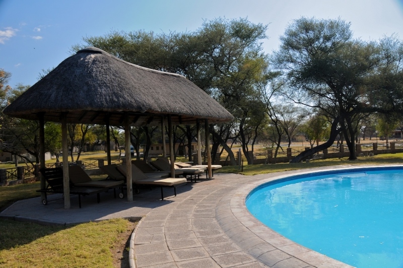 tag-10-12-etosha-0648