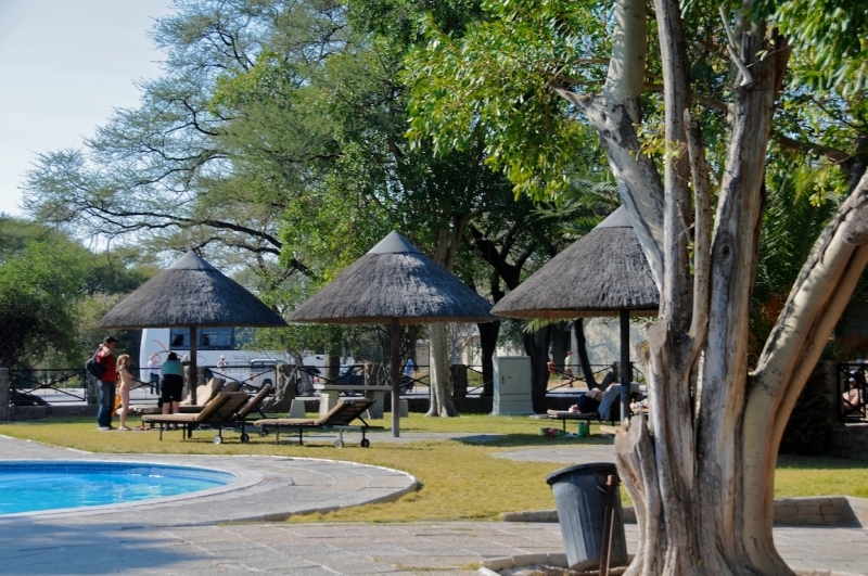 tag-10-12-etosha-0649