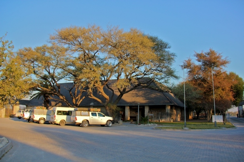 tag-10-12-etosha-140