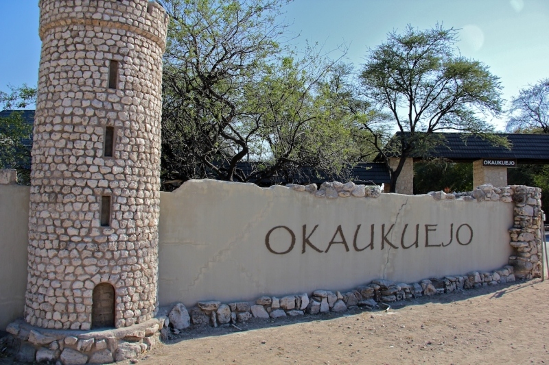 tag-10-12-etosha-142