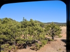 mexiko-2012-tag-02-chepe-fahrt-0128